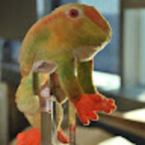 Meet your Posher, Klaudia